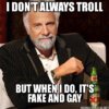 I-don\\\'t-always-troll-But-when-I-do,-it\\\'s-fake-and-gay.jpg
