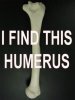 I find this humerous.jpg