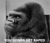 you gonna get raped.jpg