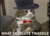 what a twaddle.jpg