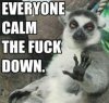 calm the fuck down.jpg