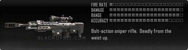 dsr-50-stats-description.jpg