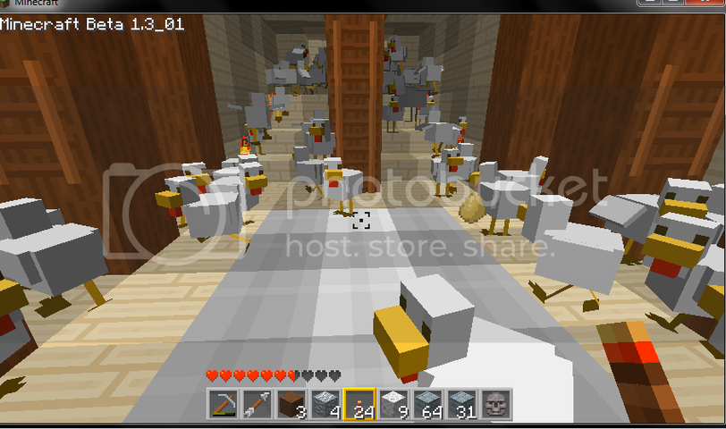 chickenchaos.png