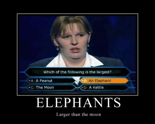 Random-funniness-random-10182782-500-400.gif