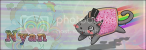 NyanSiggyWITHDIAGONALLINES.png