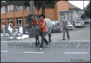 cpUzN.gif