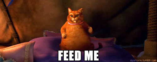 tumblr_ls4zw7XNHx1qci7q4o1_500.gif