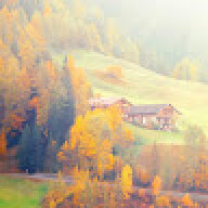 Filaon