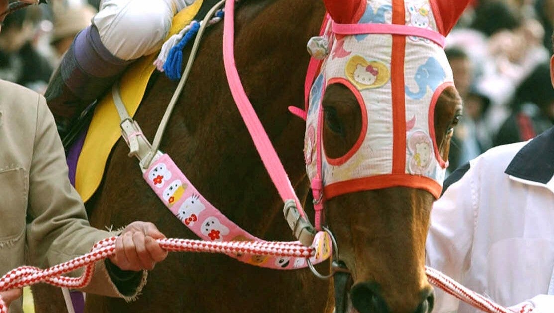 horse-1752223626162.jpg