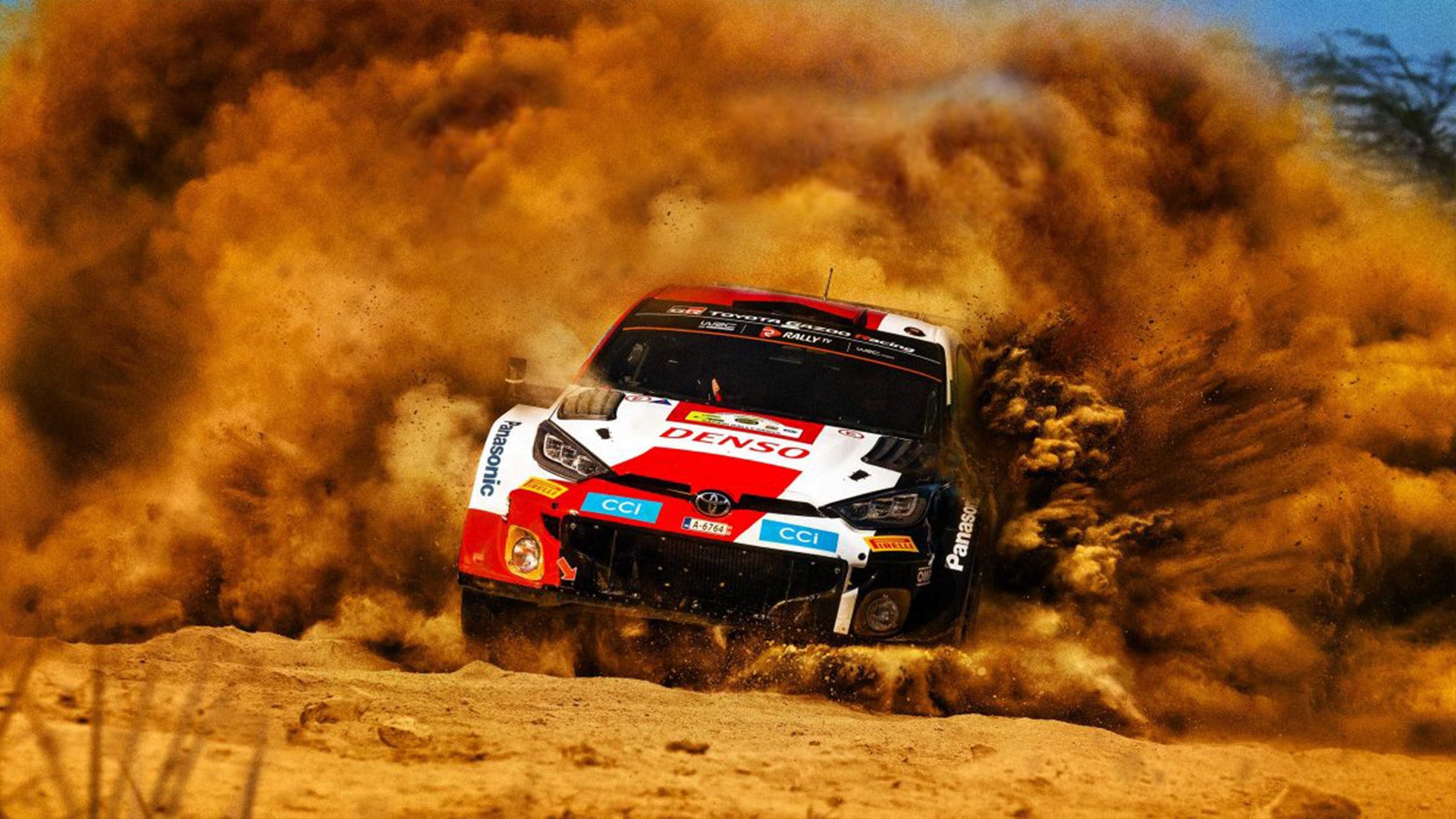 wrc-blog-1699334756911.jpg