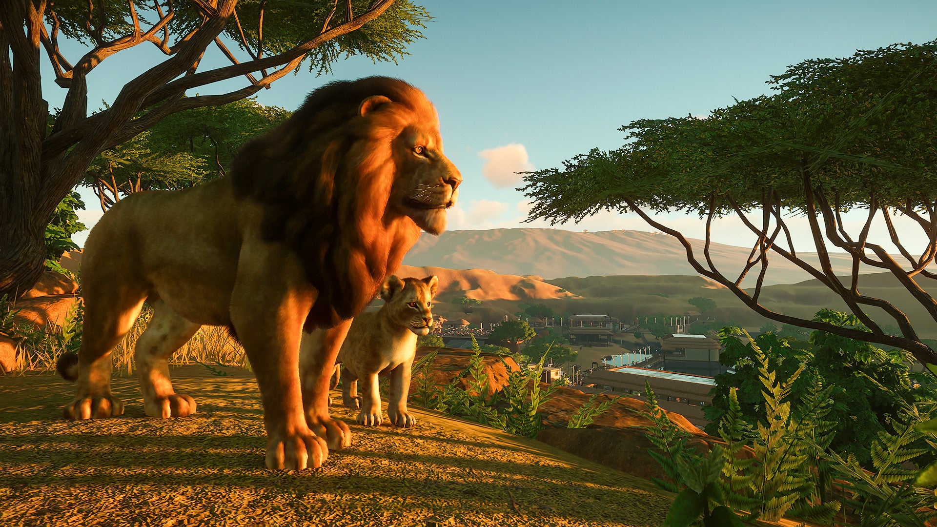zoo-1779884264883.jpg