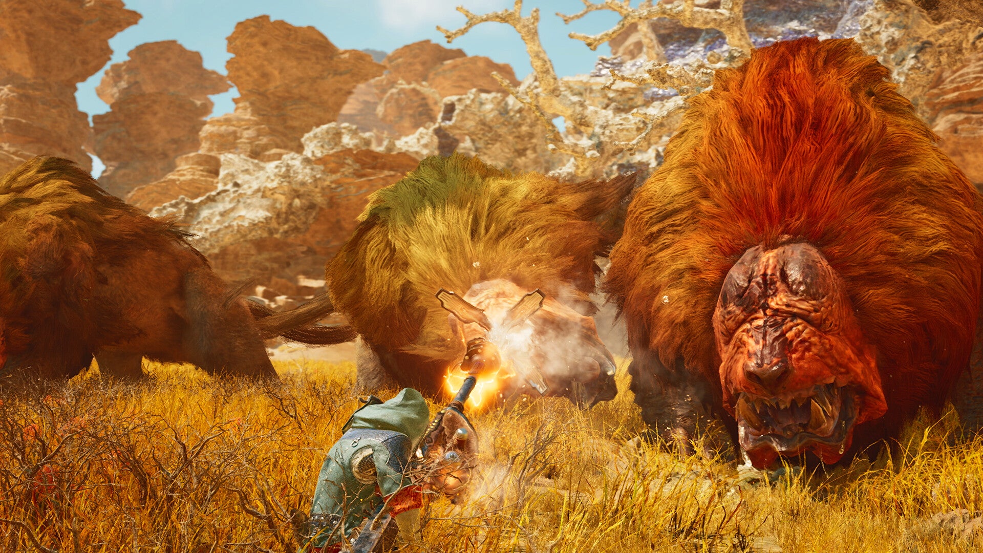 mhw-1740998178097.jpg