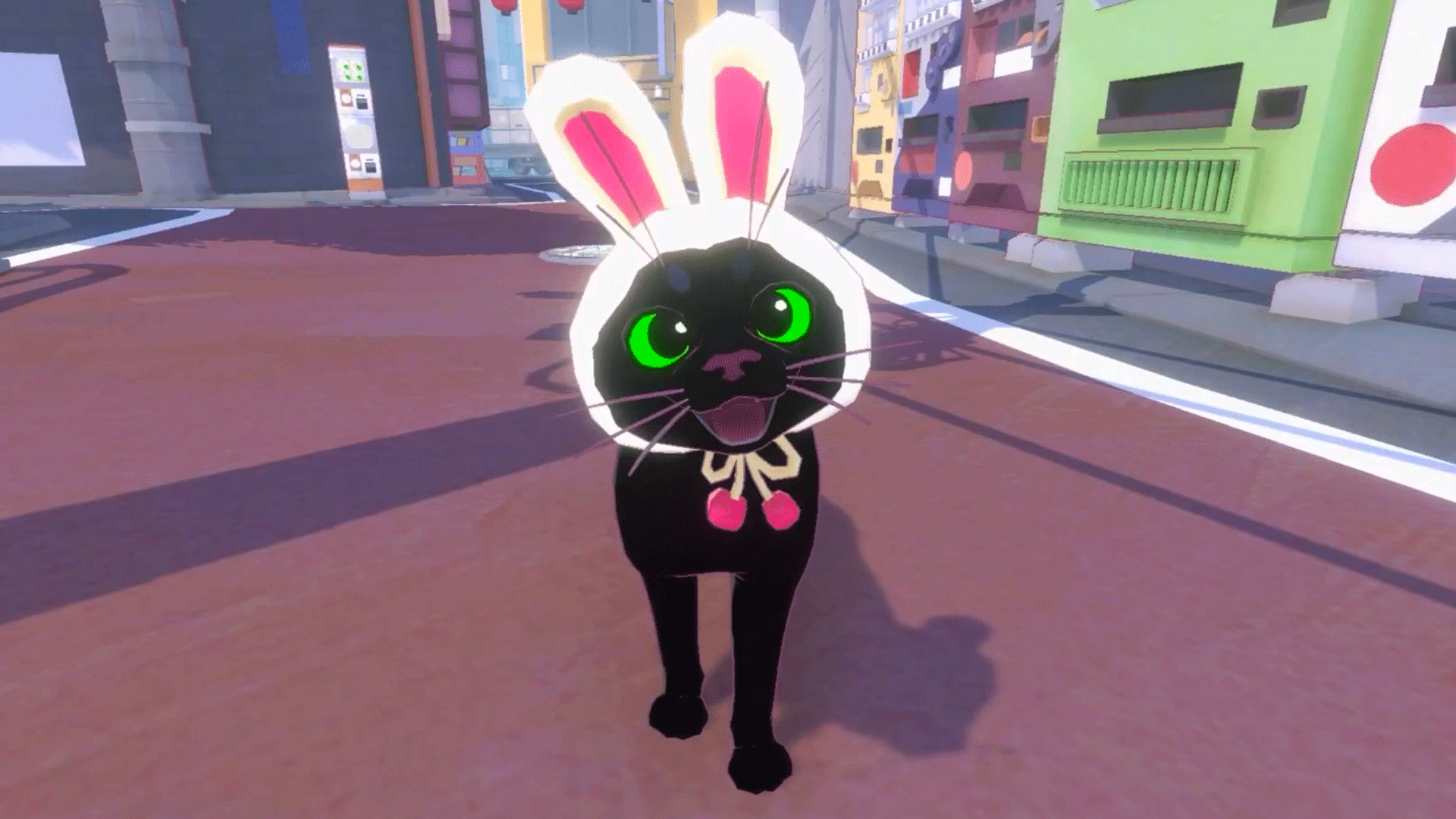 kittythumb-1713363062187.png