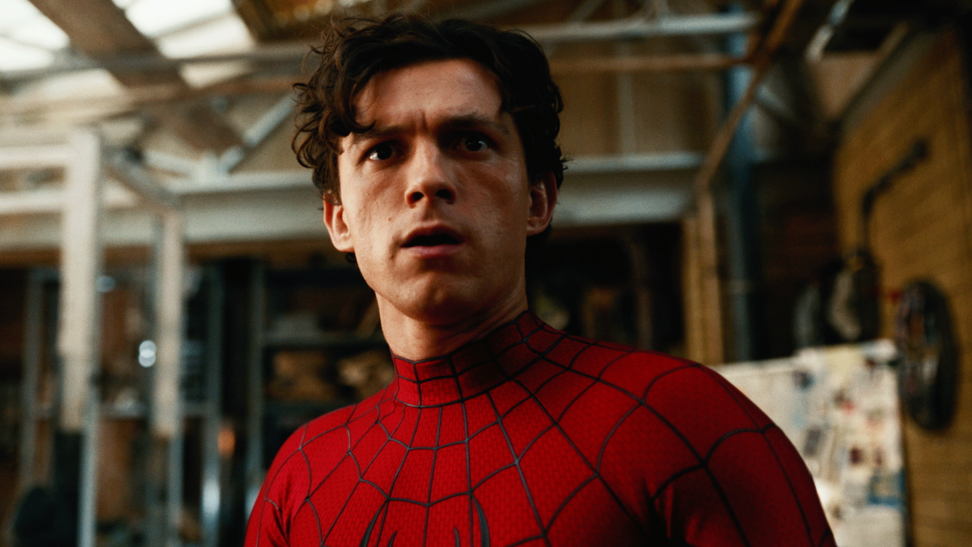 spiderthumb-1781723266727.png