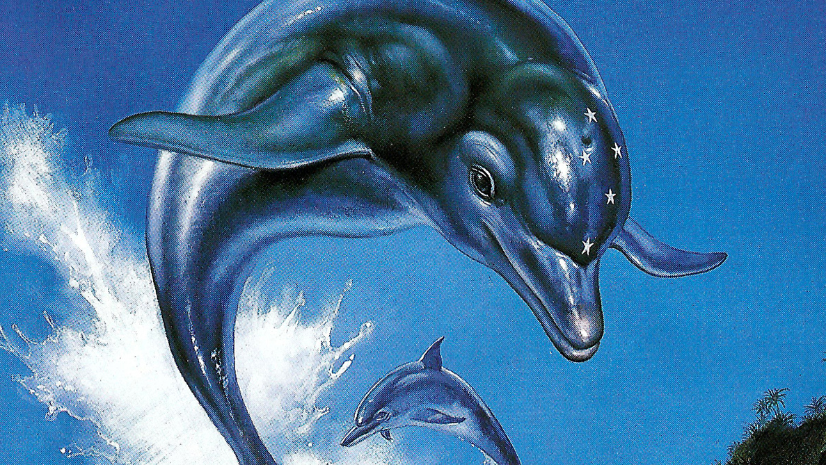 ecco-1746528340815.jpg